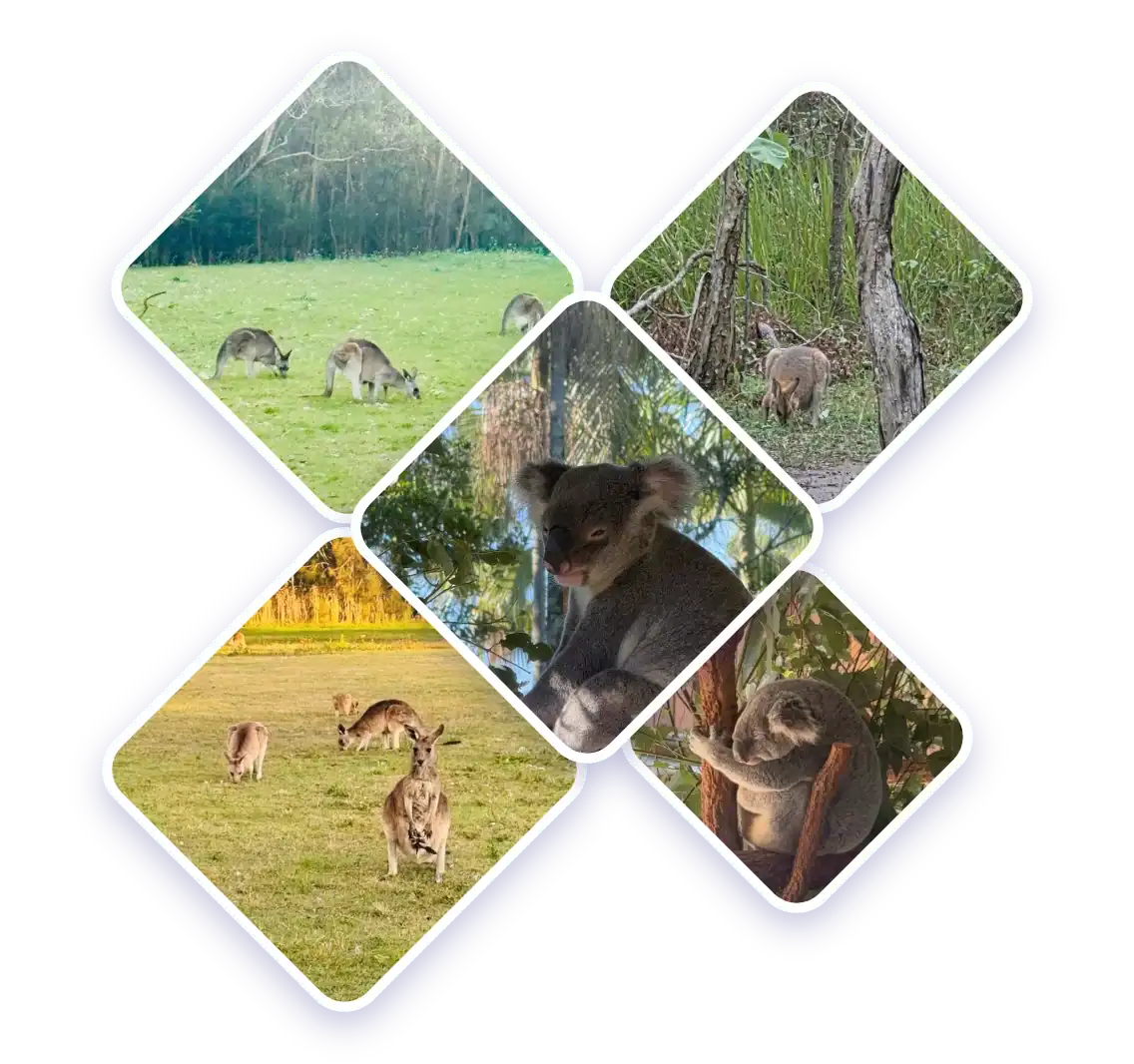 Gec did you know coombabah desktop v2