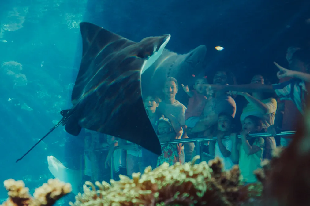 sea-word-1.webp