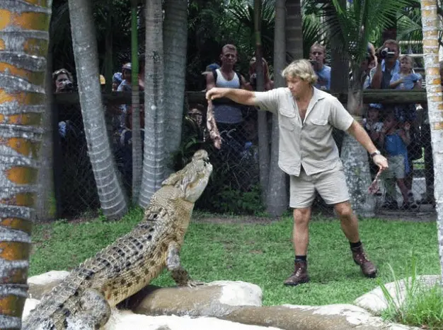 Sunshine Coast Magic Views & Australia Zoo Tour