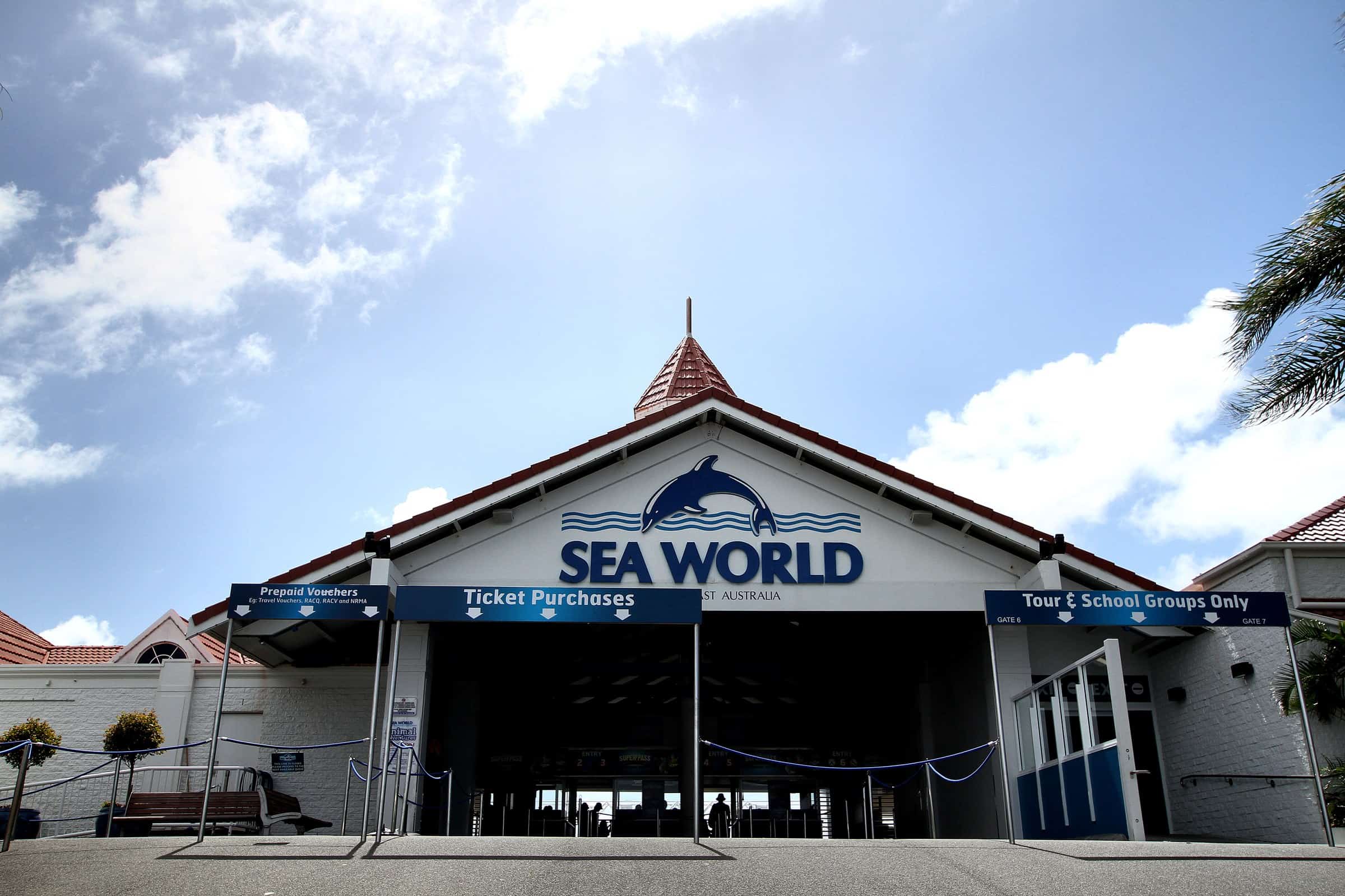 Brisbane Airport transfer to The Spit and Sea World, Gold Coast