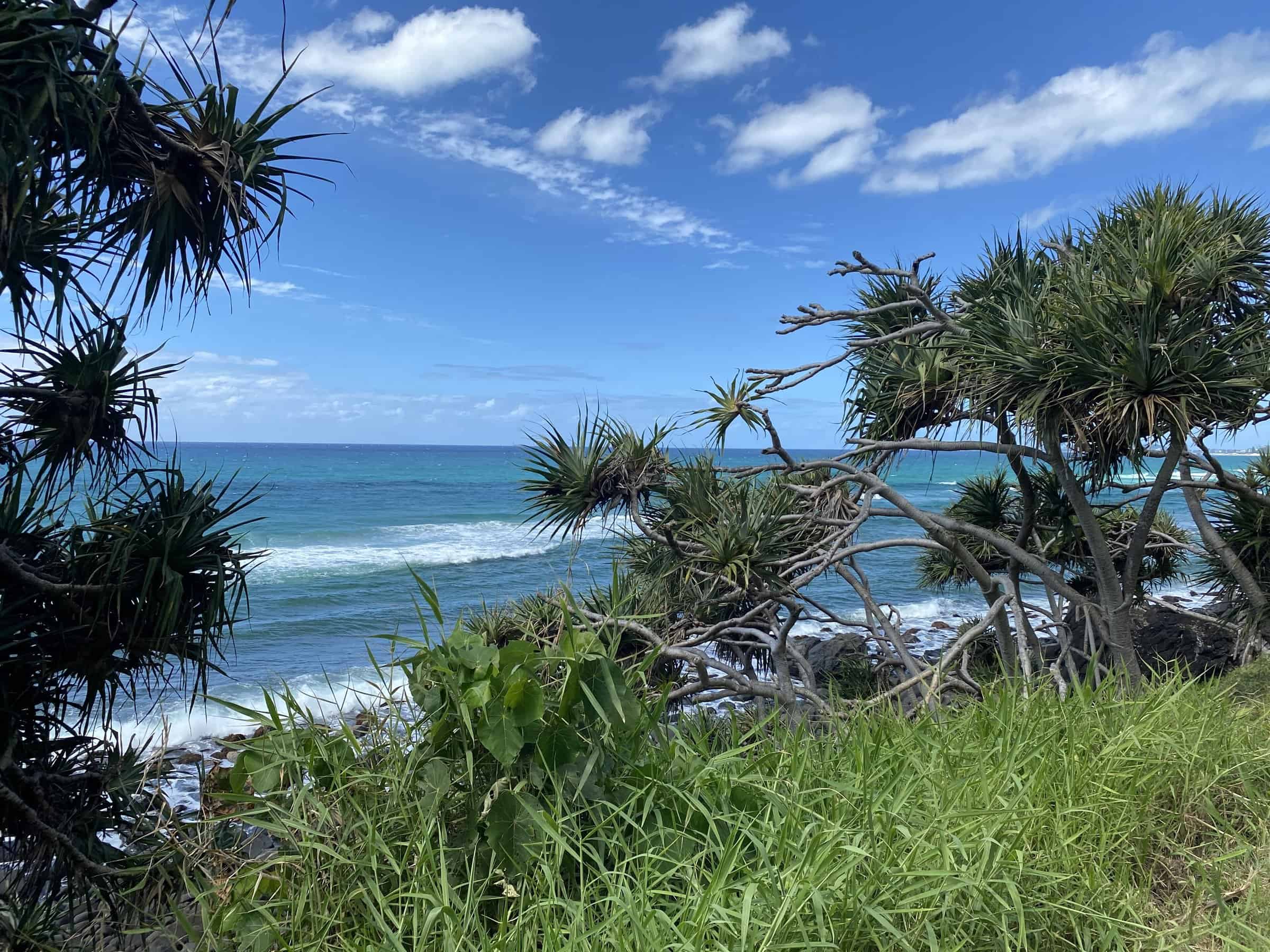 Burleigh Head National Park, Gold Coast