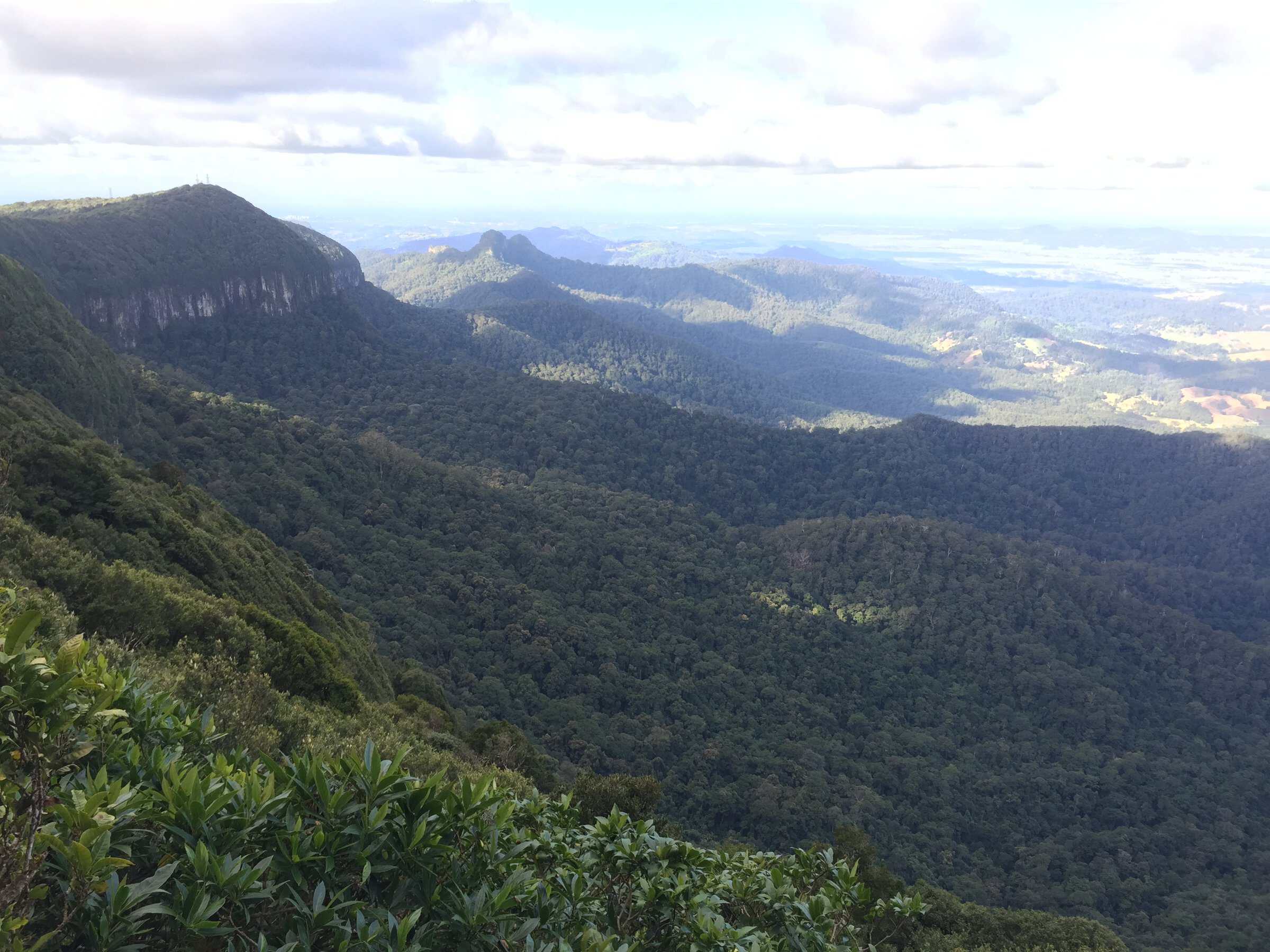 Private transfer to Best of All Lookout, Springbrook