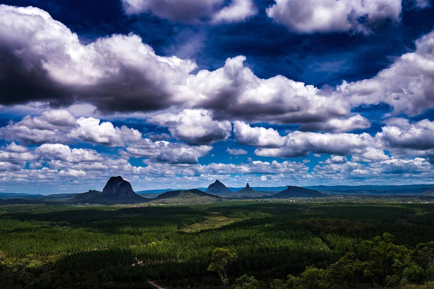 Glass House Mountains rising above the forest under a dramatic sky