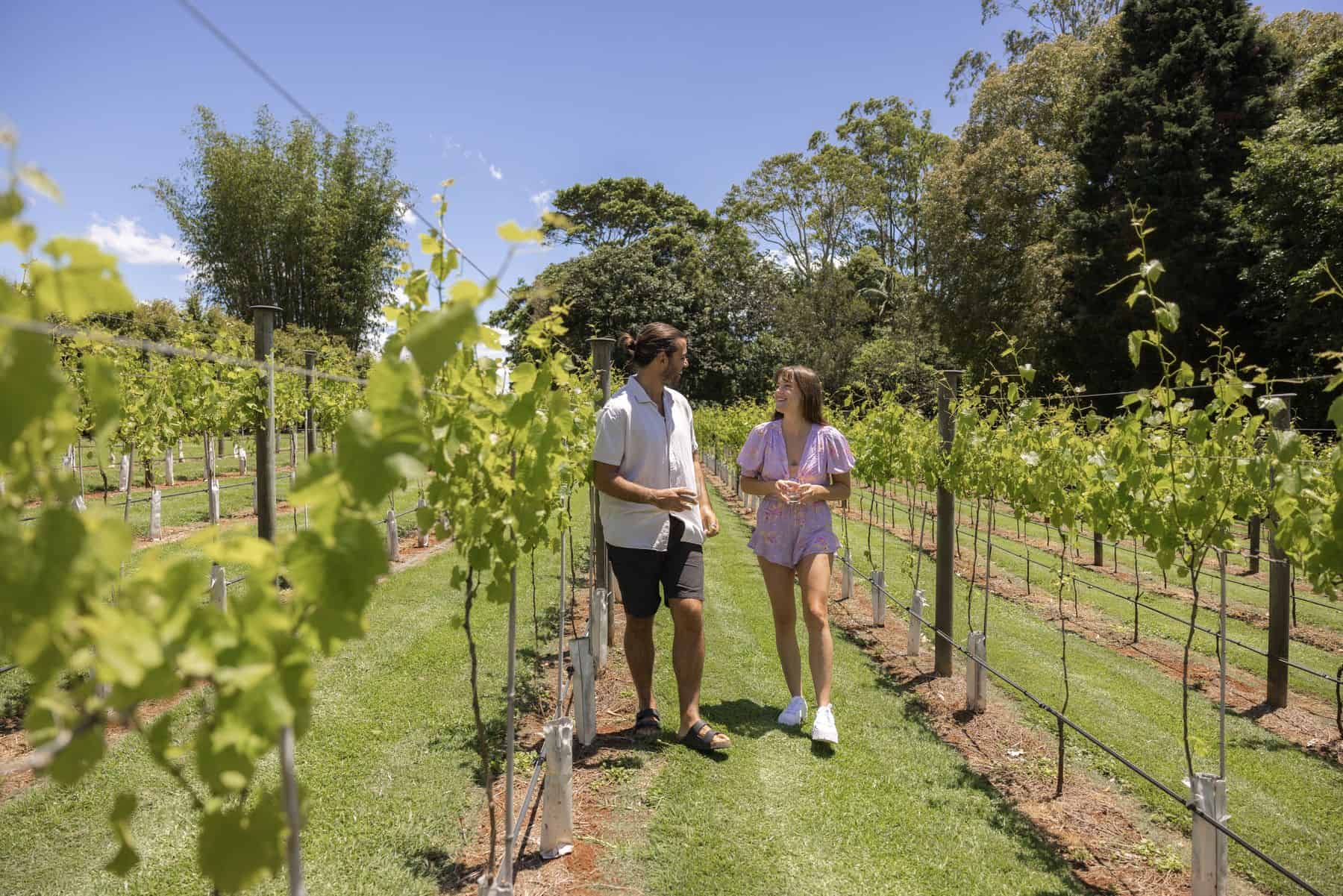 Couple walking between the vines at Witches Falls Winery on Tamborine Mountain