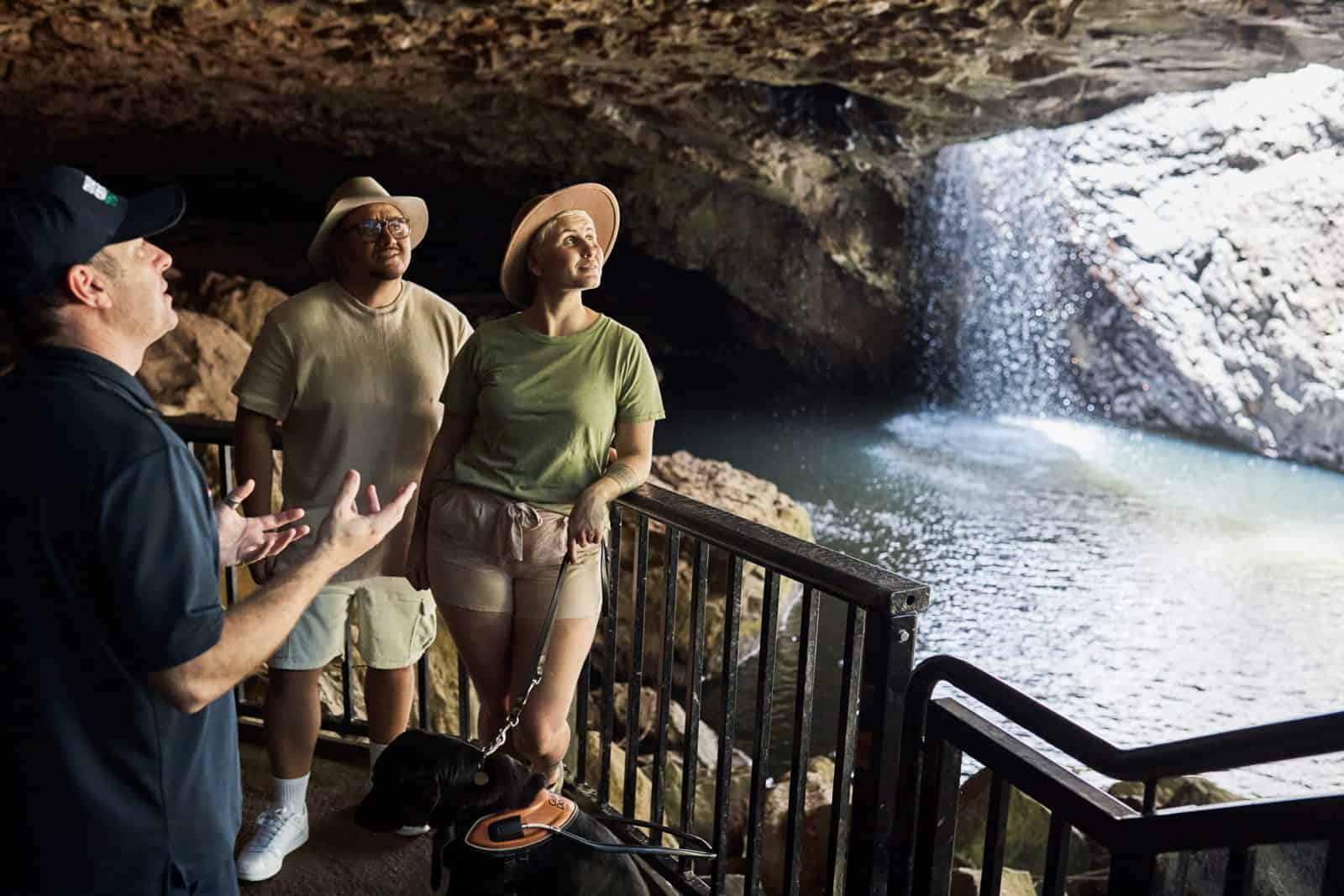 Private transfer to Natural Bridge, Springbrook National Park