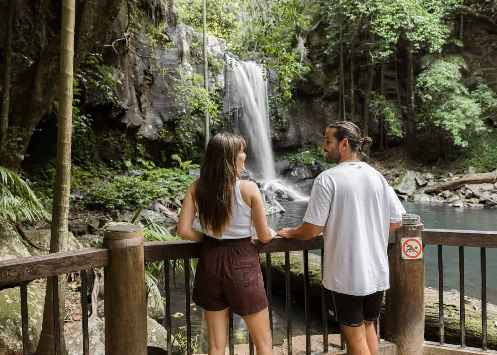 Private transfer to Curtis Falls, Tamborine Mountain