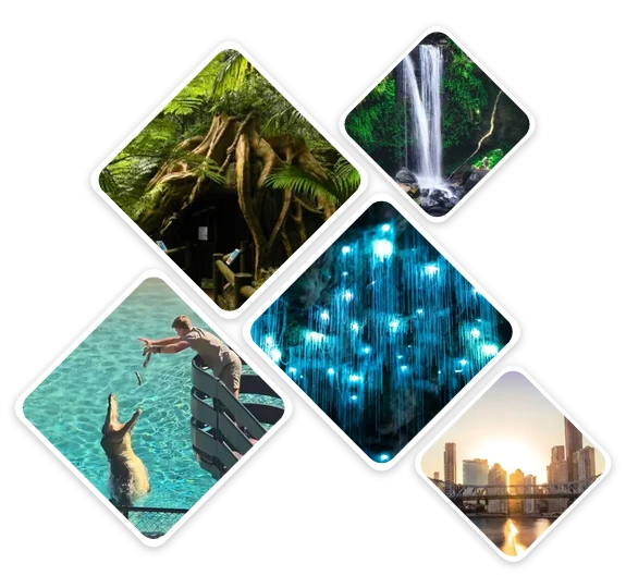 Gold Coast and Brisbane day tour highlights