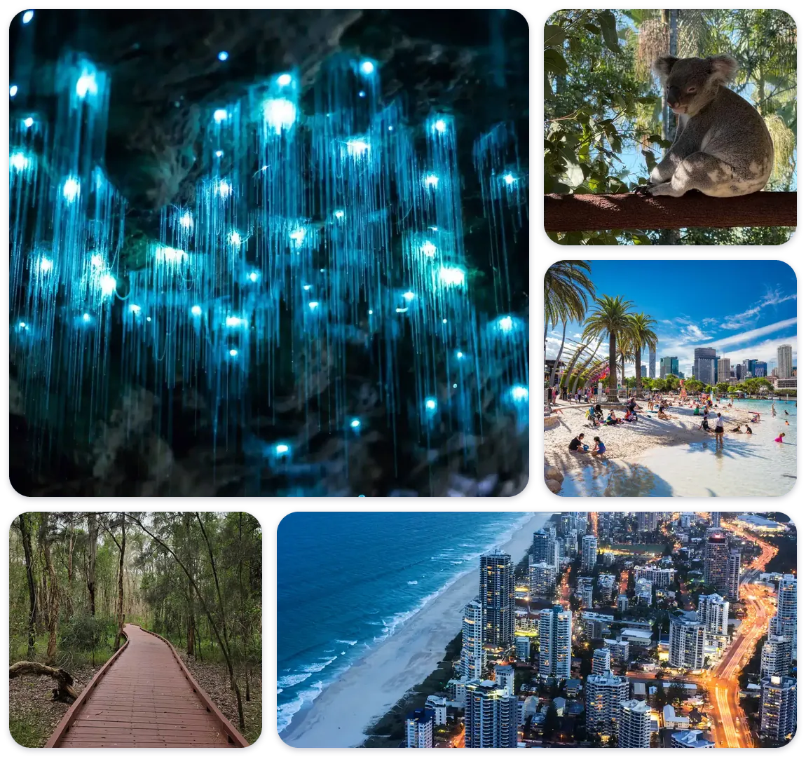 Gold Coast and Brisbane day tour highlights