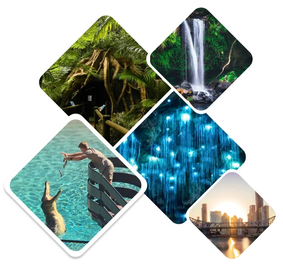 Gold Coast and Brisbane day tour highlights